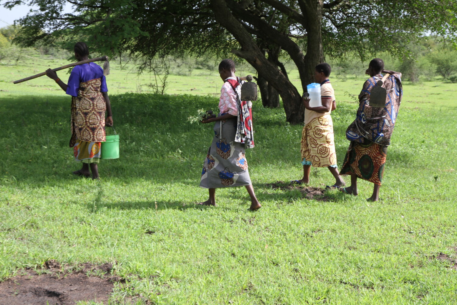 Fyra kvinnor bär på hackor, trädplantor och vattenämbar.